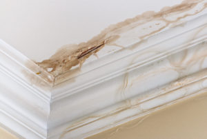 Water and mold forming on a ceiling